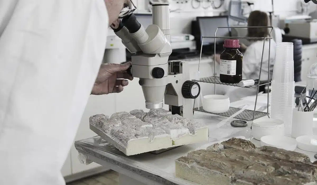 Laboratorio e ingeniería — PanelPiedra®