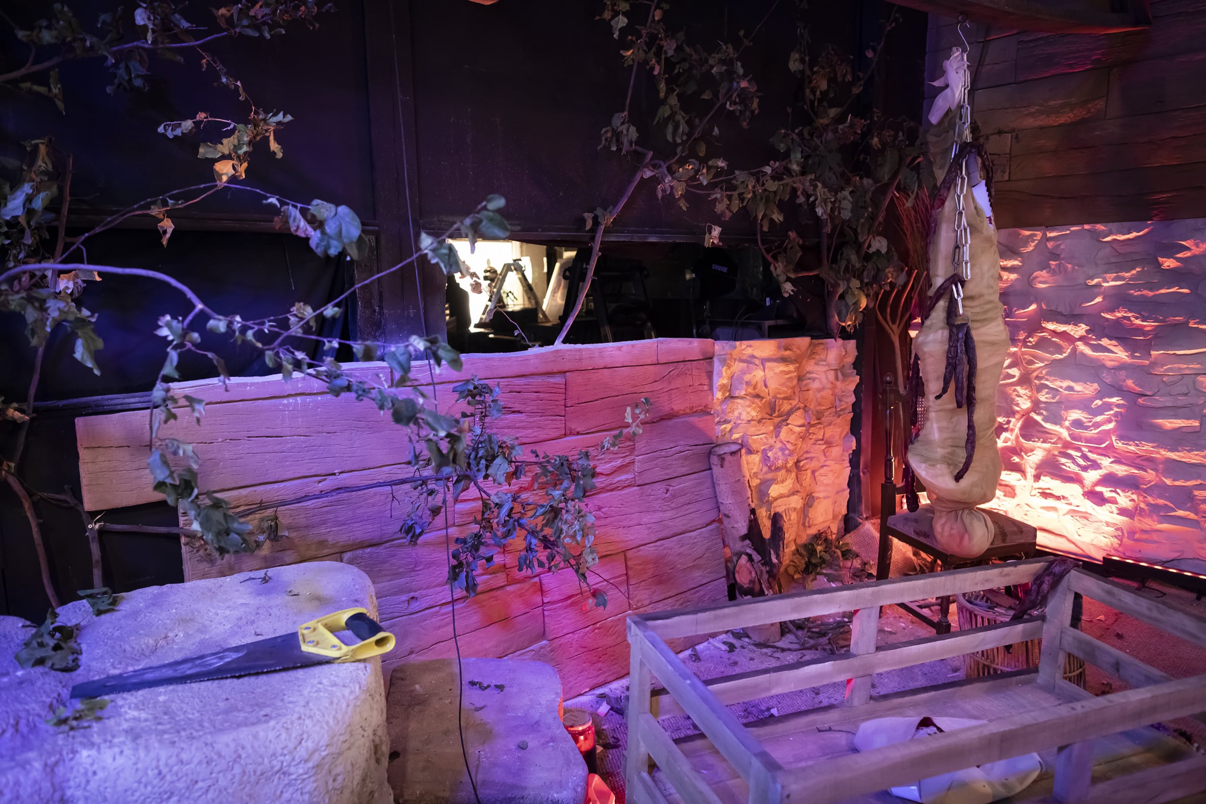 GH Vip8 Halloween &mdash; imagen 5 del proyecto