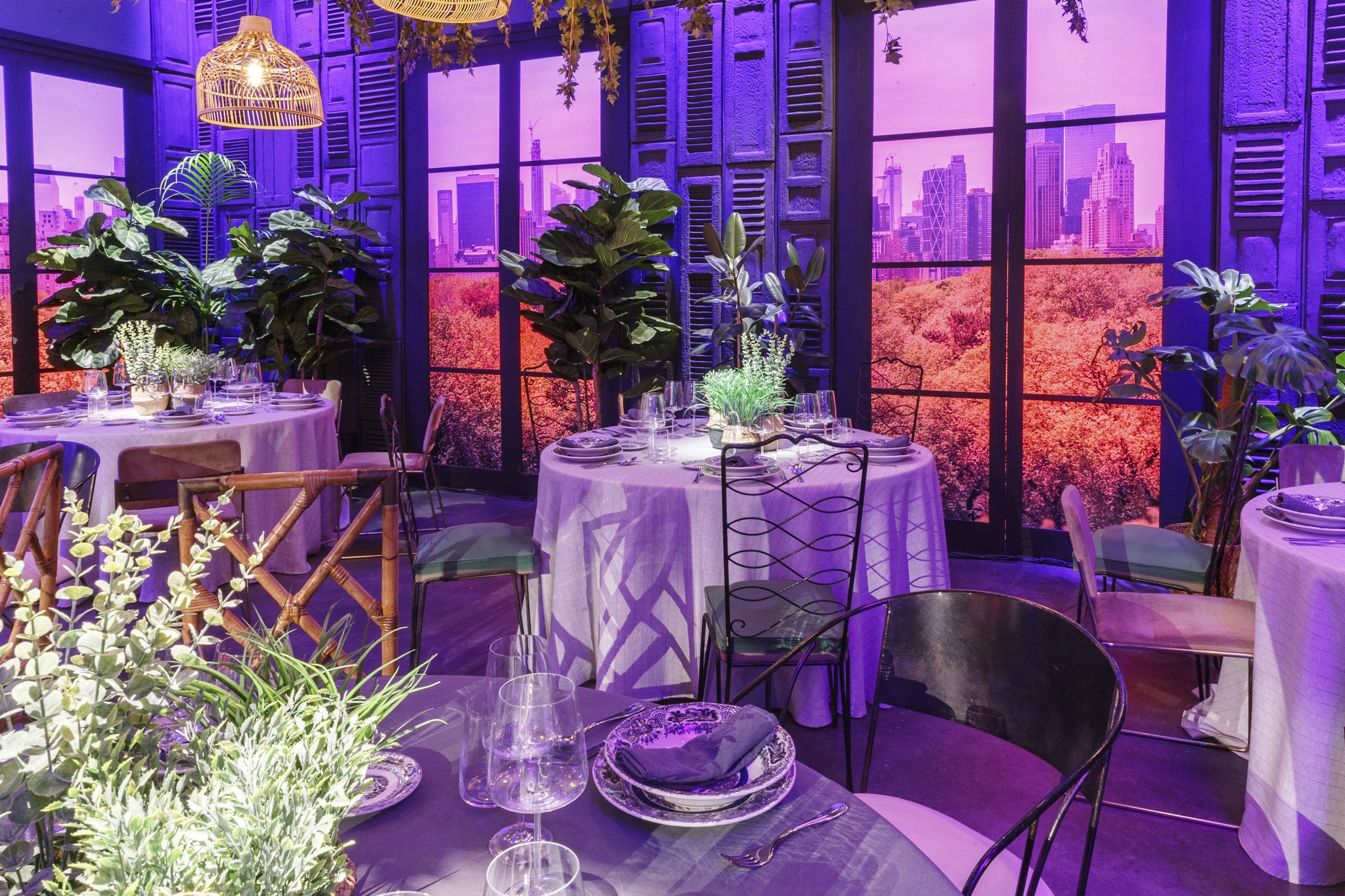 Master Chef 12+1 &mdash; imagen 7 del proyecto