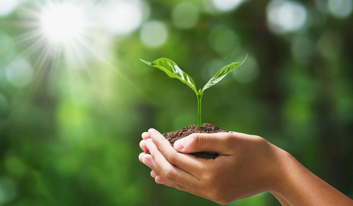 sostenibilidad-protección-naturaleza